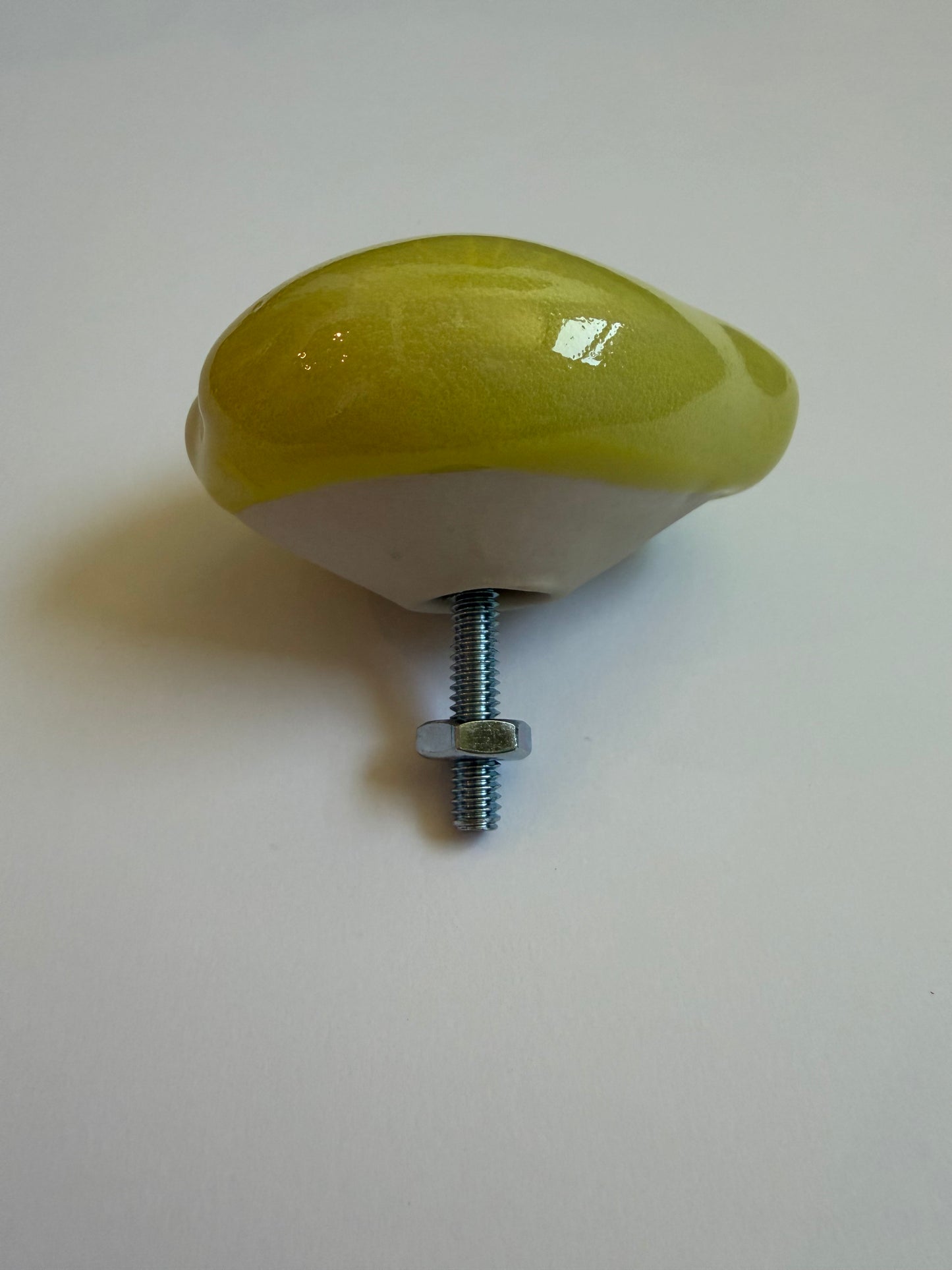 Cowrie Shell Drawer Pulls