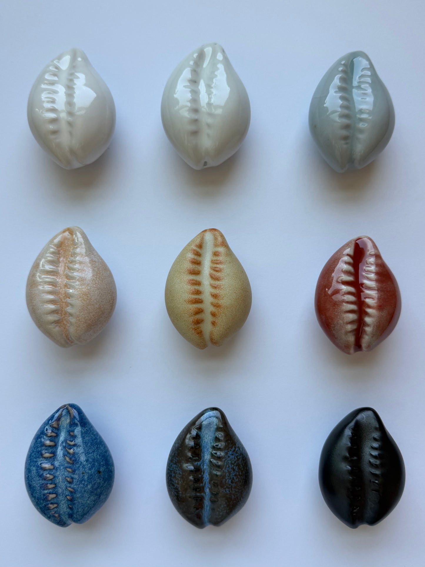 Cowrie Shell Drawer Pulls