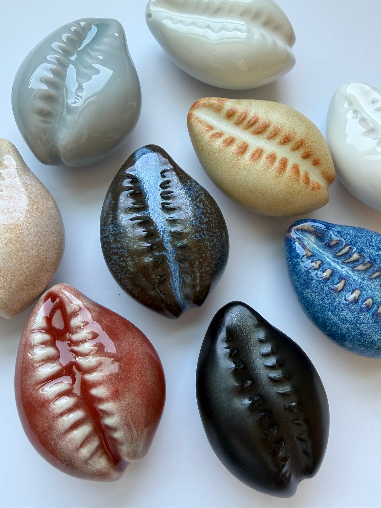 Cowrie Shell Drawer Pulls